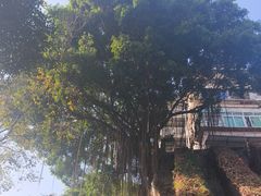 -铁路文化公园