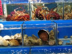 -岳各庄批发市场(西四环中路店)