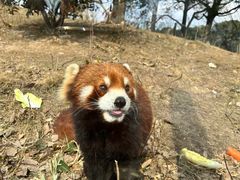 -常州淹城野生动物世界