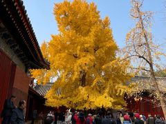 -承恩寺