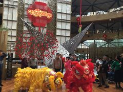 -上海滴水湖皇冠假日酒店