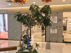 -野人先生Gelato(上海长宁龙之梦店)