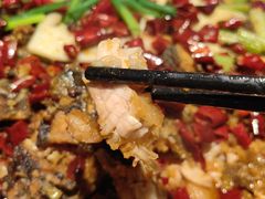 -老板恋上鱼(高新万达店)