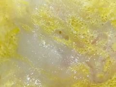 -银记肠粉店(中山一路店)