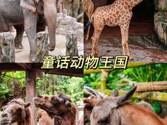 -长鹿旅游休博园
