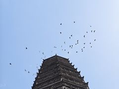 -法门文化景区