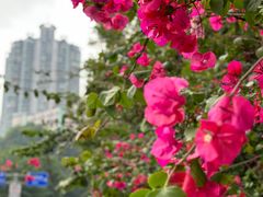 -山城巷传统风貌区