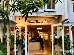 -Fern Forest Cafe