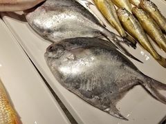 -龙宴海鲜城(经中路店)