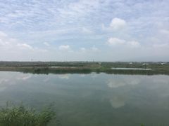 -哈素海