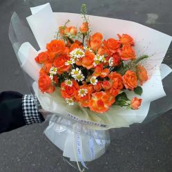 -凡碧诗毛孔清洁收细