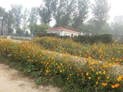 -北京东方普罗旺斯薰衣草庄园