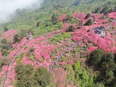 -木兰云雾山