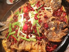 -老板恋上鱼(高新万达店)