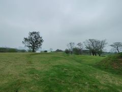 -盘龙城国家考古遗址公园