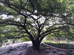 -晓港公园