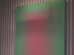 -椰小鸡·琼州糟粕醋·火锅(美兰缤纷城店)