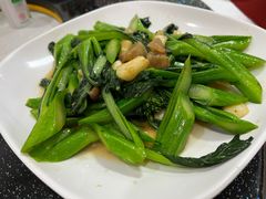 生炒菜心-新合益乡村农庄