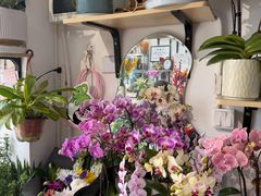 -FEI FEI FLOWER鲜花店·气球派对·宝宝宴布置(虹口德必运动Loft店)