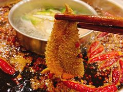 -大龙火锅(老店)