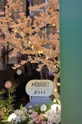 -四川米兰柏羽医学美容医院