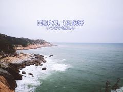 -广东惠东海龟国家级自然保护区