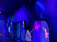 -海合安成都极地海洋公园