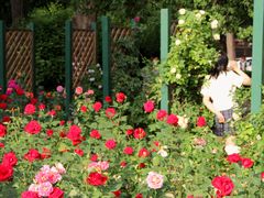 -天津五大道文化旅游区