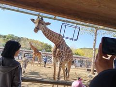 -大连森林动物园