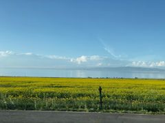 -青海湖国家重点风景名胜区