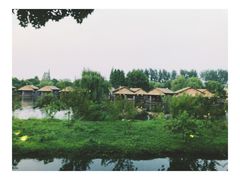 -乌村