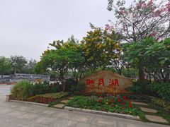-映月湖公园