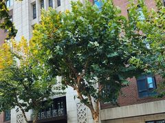-上海市静安区图书馆(新闸路馆)