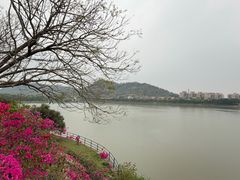 -风云岭森林公园