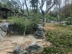 -武汉动物园