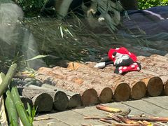 -大连森林动物园