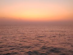 -海安新港(公交站)