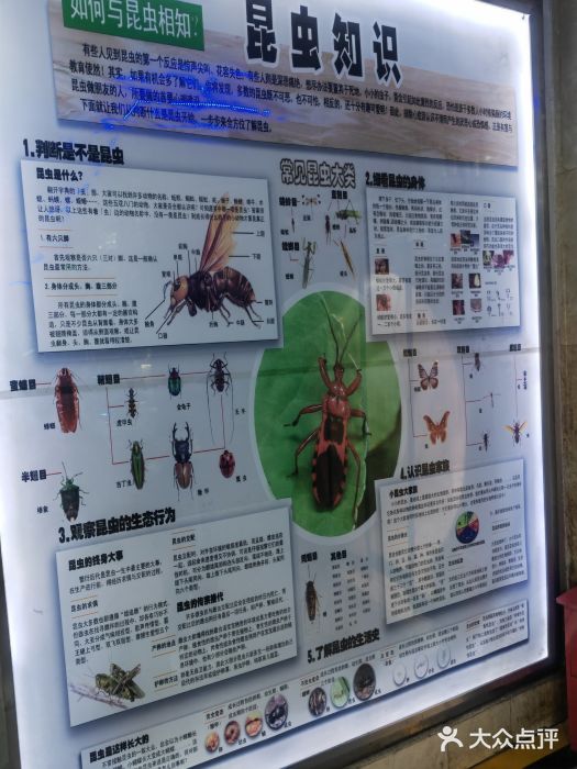 上海大自然野生昆虫馆景点图片