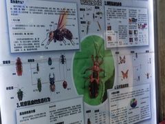 景点-上海大自然野生昆虫馆