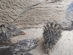 -杭州野生动物世界