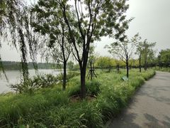 -东郊湿地公园