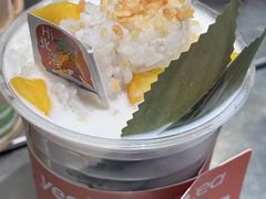 -椰椰大吉(侨港店)