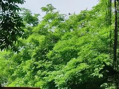 -行人小筑·茶馆(岑村火炉山分店)