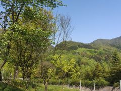 -西岭雪山大飞水景区