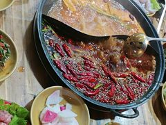 -谭记重庆老火锅(总店)