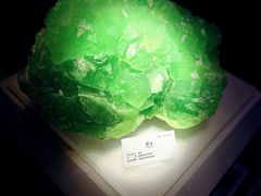 -湖南省地质博物馆