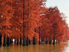 -味好美土菜(迎宾东路店)