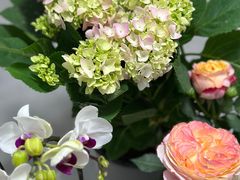 -朝来春花卉市场