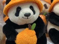 -新罗免税店(济州店)
