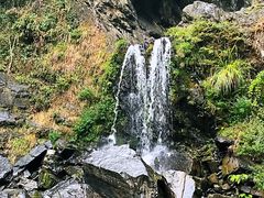 -石台牯牛降景区